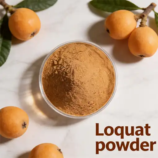 Can loquat powder be used for respiratory health?